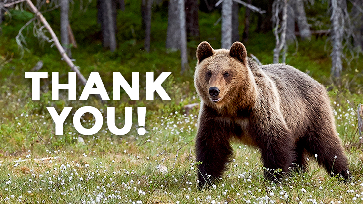 Thank You Grizzly Bear Sponsors
