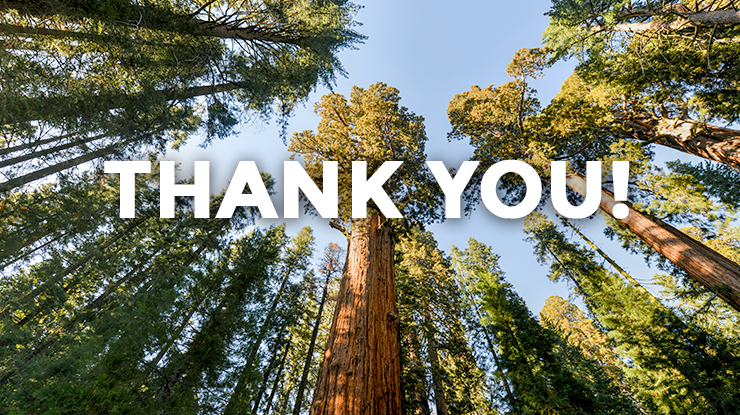 Thank You Redwood Sponsors
